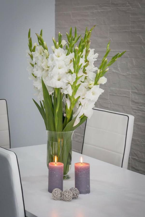 Orkana 10d Apartment